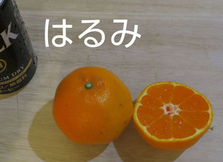 03harumi.JPG