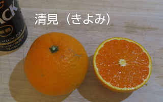 06kiyomi.JPG