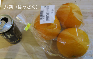 15hassaku.JPG
