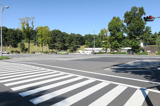 sakuradamongai.jpg