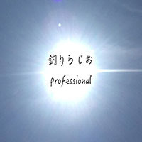 ނ炶Professional